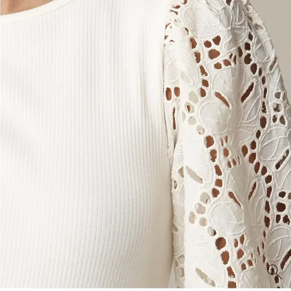 J. Crew Vintage Rib Top With Cotton Poplin Eyelet Sleeves - Picture 2 of 3